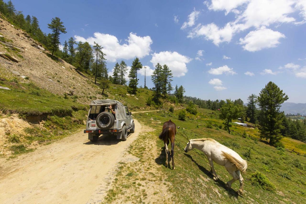 Zostel Homes Kotkhai Shimla Exterior photo